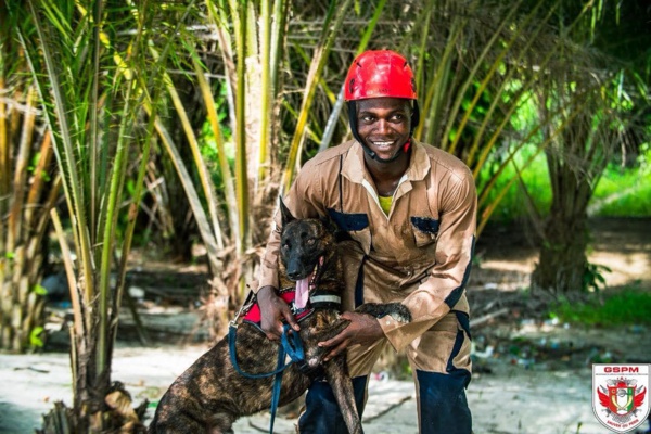 Cellule cynotechnique GSPM Côte d'Ivoire © Crédit photo Sercom GSPM Cellule cynotechnique GSPM Côte d'Ivoire © Crédit photo Sercom GSPM