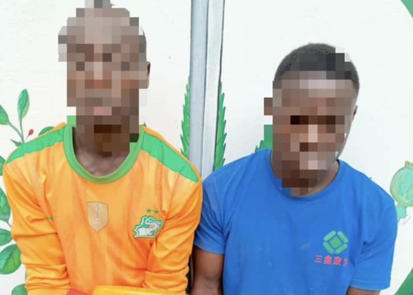 Drogue à Agnibilékrou © Crédit photo DR Drogue à Agnibilékrou © Crédit photo DR