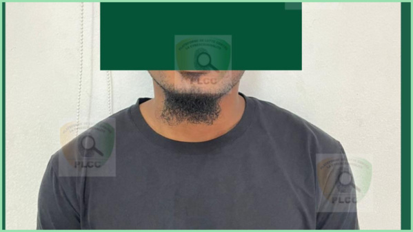 Démantèlement d'un réseau de fraude financière en ligne © Crédit photo DR Démantèlement d'un réseau de fraude financière en ligne © Crédit photo DR