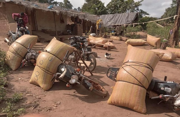 La revue presse ivoirienne du 15 janvier 2025 met en avant la lutte contre le trafic de produits agricoles © Crédit photo DR La revue presse ivoirienne du 15 janvier 2025 met en avant la lutte contre le trafic de produits agricoles © Crédit photo DR