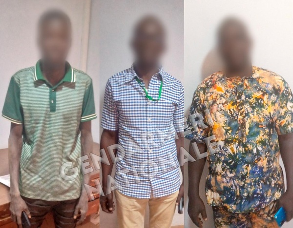 Trafic de produits agricoles : Saisie de 50 tonnes de maïs en route pour le Burkina, 3 personnes en garde à vue Trafic de produits agricoles : Saisie de 50 tonnes de maïs en route pour le Burkina, 3 personnes en garde à vue