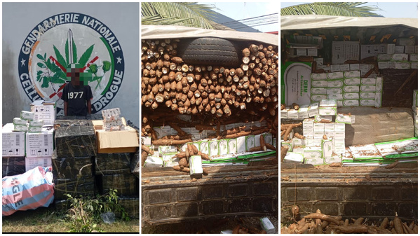 Saisie 709 kg de faux médicaments à Port-Bouët © Crédit photo DR Saisie 709 kg de faux médicaments à Port-Bouët © Crédit photo DR