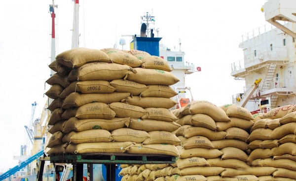 La Côte d'Ivoire importe 1,6 millions de tonnes de riz en 2024