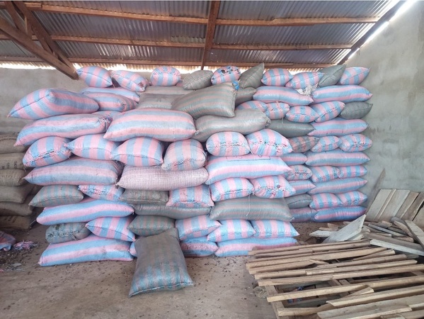 Trafic du cacao ivoirien © Crédit photo DR Trafic du cacao ivoirien © Crédit photo DR