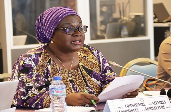 Qui est Massandjé Touré-Litsé nommée administratrice pour la Côte d'Ivoire auprès de la BAD ? © Crédit photo DR Qui est Massandjé Touré-Litsé nommée administratrice pour la Côte d'Ivoire auprès de la BAD ? © Crédit photo DR