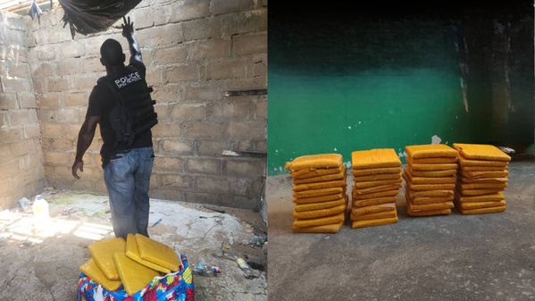 Saisie de 40 kilogrammes de cannabis à Grand-Bassam © Crédit photo DR Saisie de 40 kilogrammes de cannabis à Grand-Bassam © Crédit photo DR