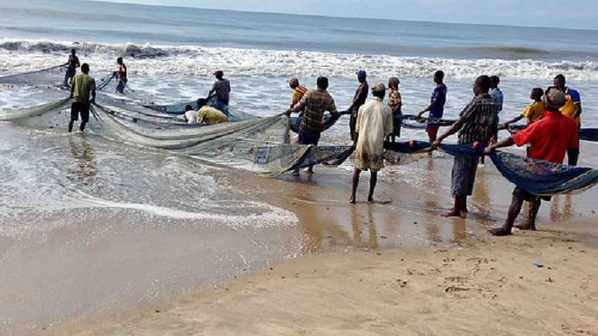 En Côte d'Ivoire, la pêche ivoirienne se transforme avec le lancement du projet économie bleue FAO © Crédit photo DR En Côte d'Ivoire, la pêche ivoirienne se transforme avec le lancement du projet économie bleue FAO © Crédit photo DR
