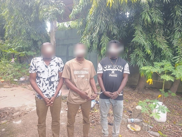 Arrestation du cerveau présumé de l'orpaillage clandestin d'Alepé, Côte d'Ivoire © Crédit photo DR Arrestation du cerveau présumé de l'orpaillage clandestin d'Alepé, Côte d'Ivoire © Crédit photo DR