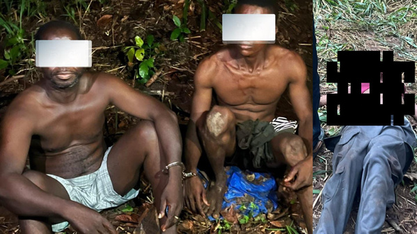 Crime rituel, une femme de 27 ans tuée à Yamoussoukro © Crédit photo DR Crime rituel, une femme de 27 ans tuée à Yamoussoukro © Crédit photo DR