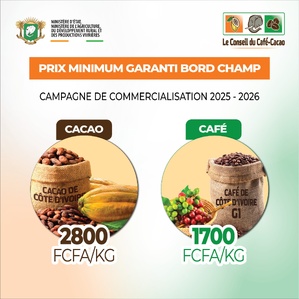 Le nouveau prix du cacao en Côte d'Ivoire fixé à 2800 FCFA et le café à 1700 pour la campagne 2025-2026