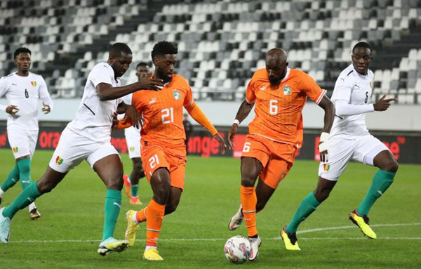 Les Eléphants de Côte d'Ivoire © Crédit photo DR Les Eléphants de Côte d'Ivoire © Crédit photo DR