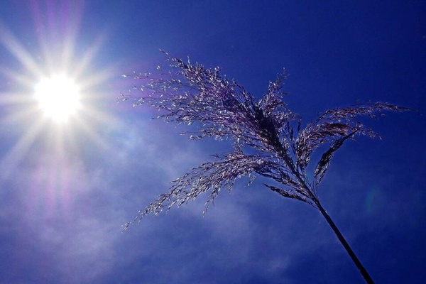 Météo du 22 décembre en Côte d'Ivoire © Crédit photo DR