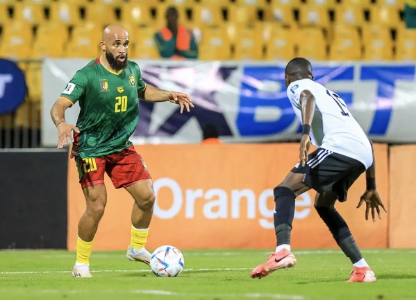 En direct le match Afrique du Sud - Cameroun ce dimanche © Crédit photo DR En direct le match Afrique du Sud - Cameroun ce dimanche © Crédit photo DR