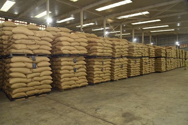 Cacao ivoirien : le Conseil du Café-Cacao accélère l'achat des stocks © Crédit photo DR Cacao ivoirien : le Conseil du Café-Cacao accélère l'achat des stocks © Crédit photo DR