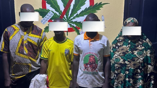 Saisie de médicaments falsifiés et d'or au marché de Niellé © Crédit photo DR