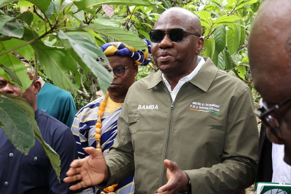 PROMIRE, cacao sans déforestation en Côte d'Ivoire © Crédit photo DR - Yessouan.ci PROMIRE, cacao sans déforestation en Côte d'Ivoire © Crédit photo DR - Yessouan.ci