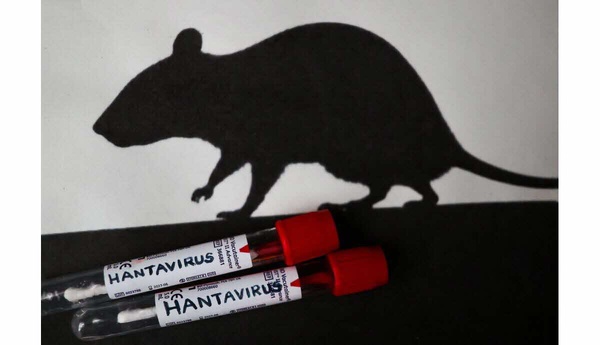 Hantavirus la Côte d'Ivoire renforce sa vigilance sanitaire © Crédit photo DR Hantavirus la Côte d'Ivoire renforce sa vigilance sanitaire © Crédit photo DR