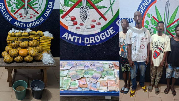 Saisie de drogue et quatre arrestations à Gbokora, Daloa © Crédit photo DR