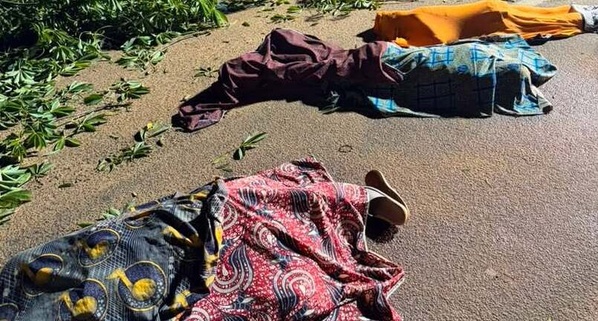 Drame à Bouaké : trois morts dans la chute d'un arbre géant à Nimbo © Crédit photo DR Drame à Bouaké : trois morts dans la chute d'un arbre géant à Nimbo © Crédit photo DR