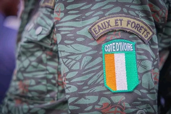 L'École Nationale des Eaux et Forêts (ENEF)