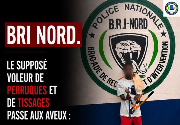 Interpellation d'un voleur par la BRI NORD.