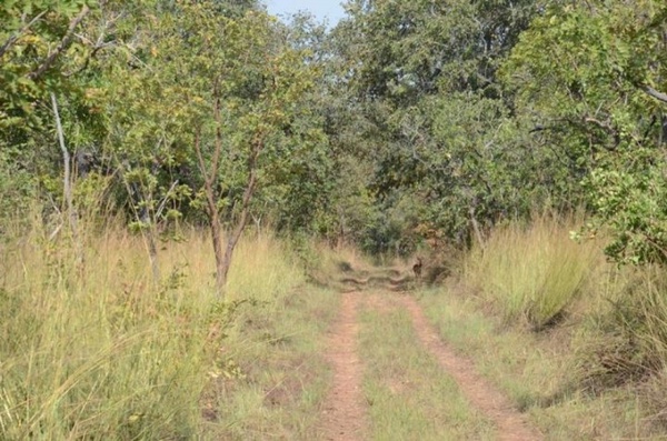 À Taï, un agriculteur burkinabè est décédé À Taï, un agriculteur burkinabè est décédé