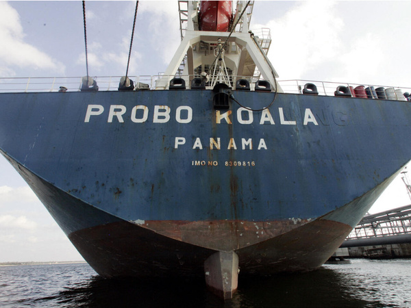 Probo Koala