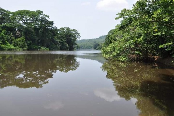Pollution de la rivière Guéry © Crédit photo DR