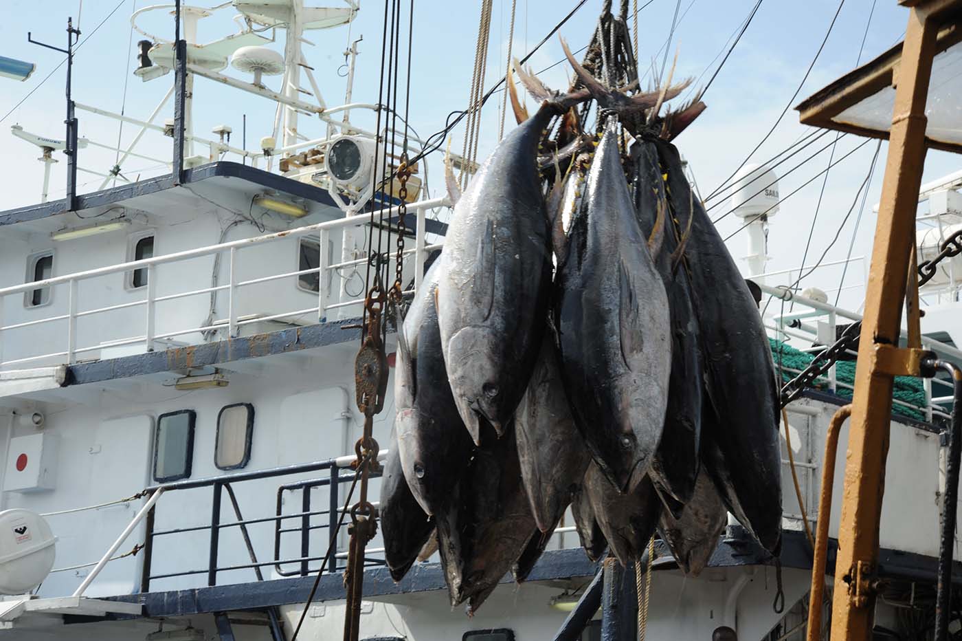 Pêche : la Côte d'Ivoire renouvelle son accord avec l'Europe © Crédit photo DR
