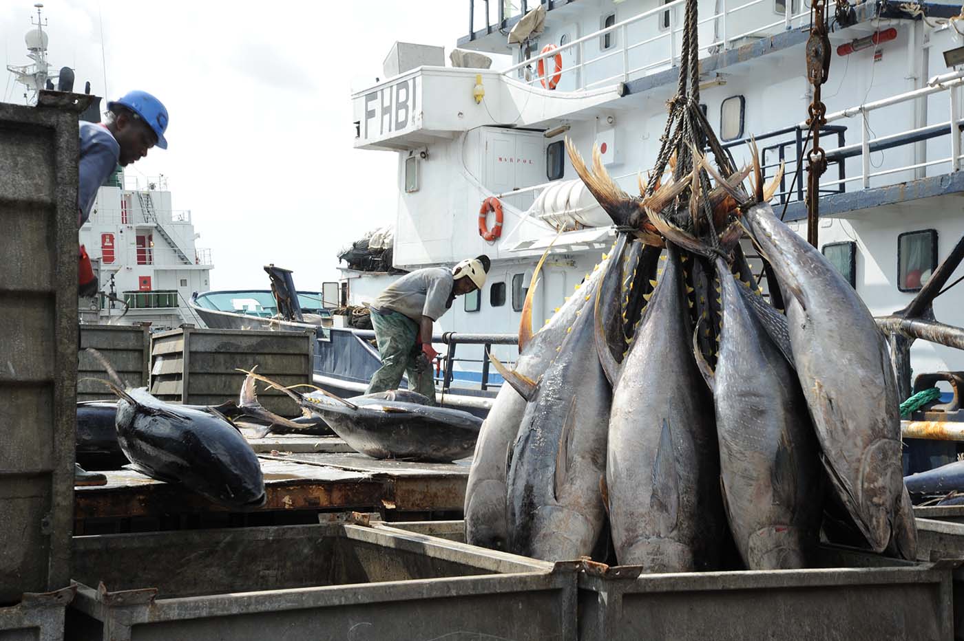 800 000 tonnes de poissons importés en Côte d'Ivoire en 2024 © Crédit photo DR