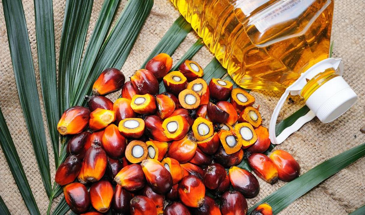 Prix huile de palme en Côte d'Ivoire © Crédit photo DR