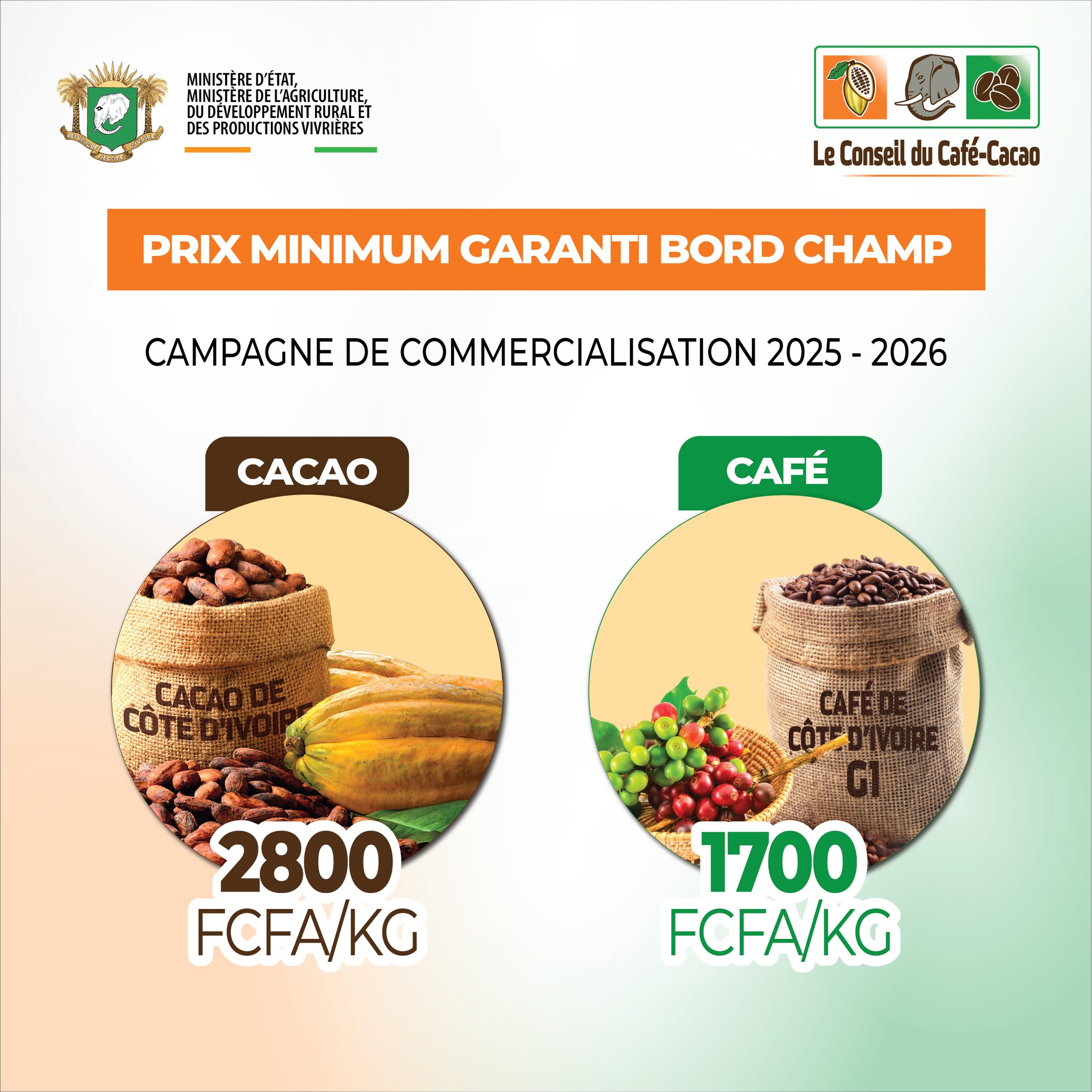 Le nouveau prix du cacao en Côte d'Ivoire fixé à 2800 FCFA et le café à 1700 pour la campagne 2025-2026