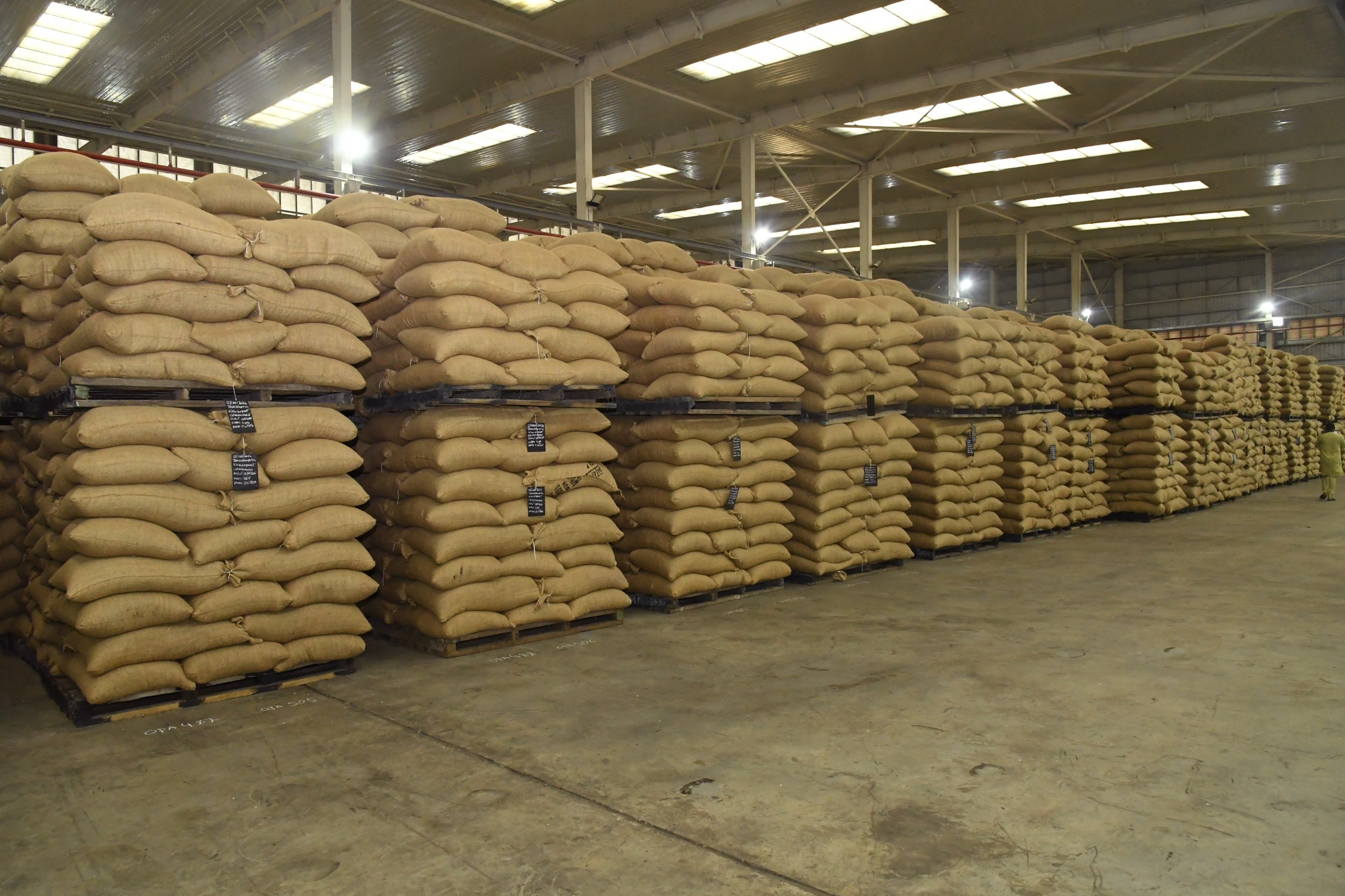 Cacao ivoirien : le Conseil du Café-Cacao accélère l'achat des stocks © Crédit photo DR