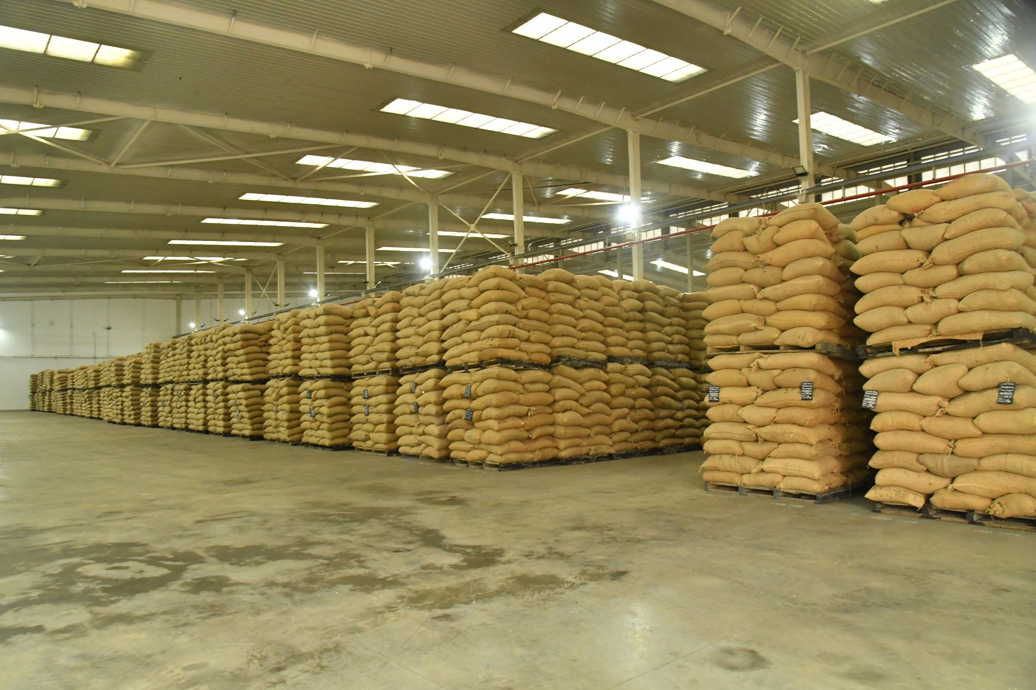 Côte d'Ivoire : l'État accélère le rachat de 100 000 tonnes de cacao invendu © Crédit photo DR