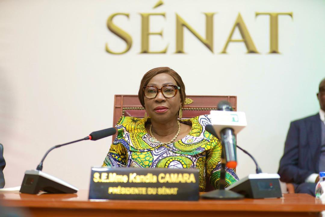 Le Sénat de Côte d'Ivoire adopte six projets de loi dont le PND 2026-2030 © Crédit photo DR - Yessouan.ci
