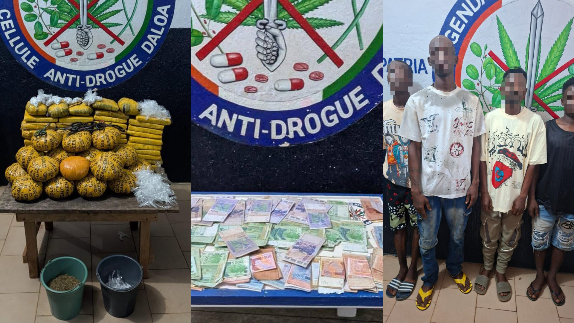Saisie de drogue et quatre arrestations à Gbokora, Daloa © Crédit photo DR
