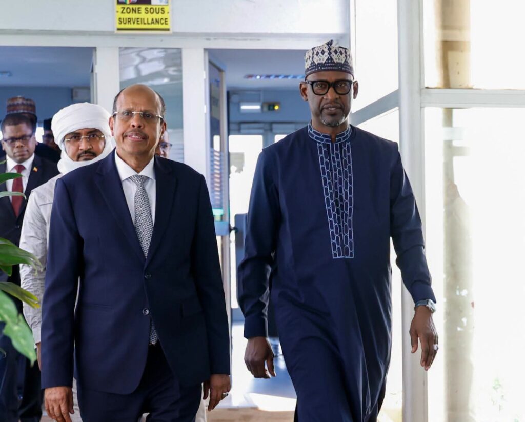 Union africaine : Mahmoud Ali Youssouf en visite au Mali © Crédit photo DR