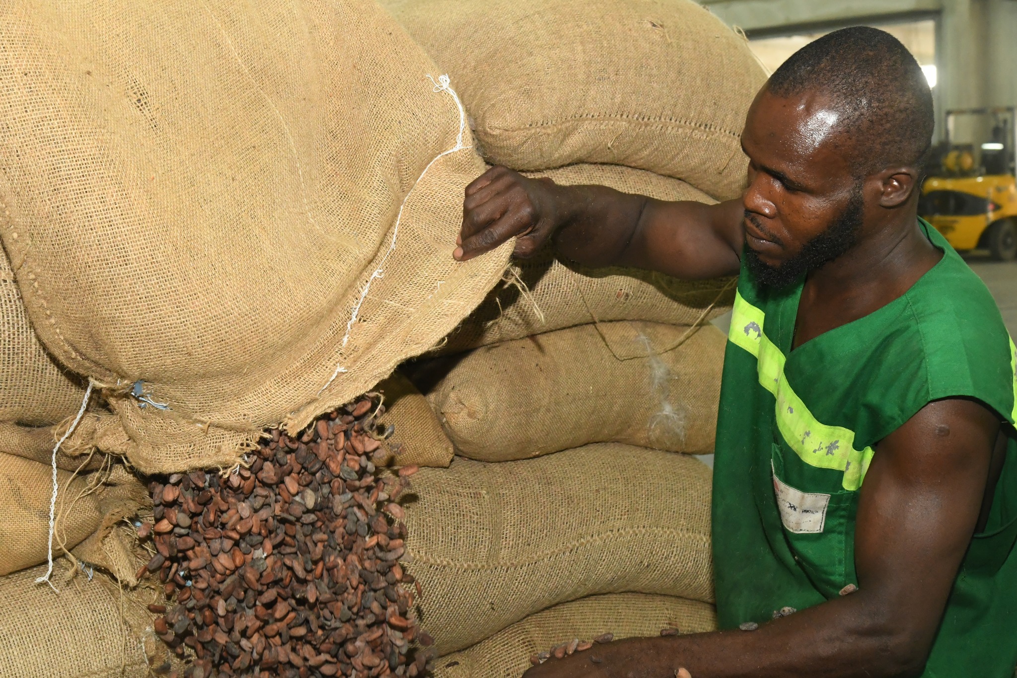Cacao ivoirien : déploiement de 100 agents pour la traçabilité sociale © Crédit photo DR