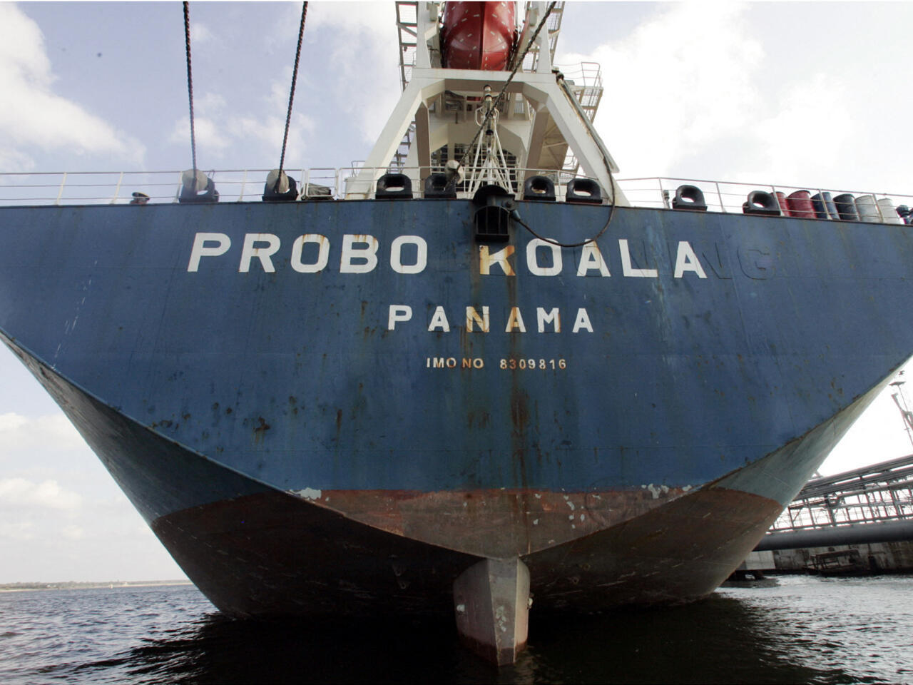 Probo Koala