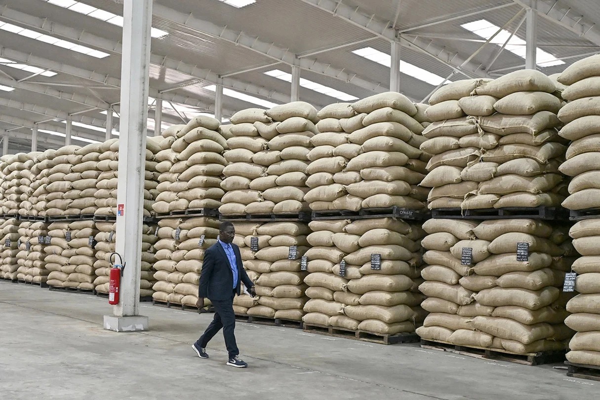 Sacs de fèves entreposés chez Transcao, filiale du Conseil café-cacao (CCC) de Côte d’Ivoire, à Abidjan, le 29 janvier 2026. © Sia KAMBOU/AFP