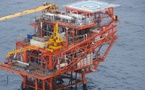 Gisement Baleine Côte d'Ivoire : une production pétrolière de 60 000 barils par jour