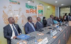 RHDP : La stratégie pour la présidentielle 2025 dévoilée 