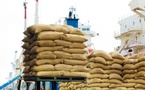 La Côte d'Ivoire importe 1,6 millions de tonnes de riz en 2024 : le pays face à son paradoxe agricole