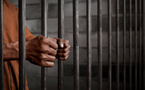 Arrestation et condamnation de l'infirmier Tokpa Flan Japhet : le Procureur livre enfin les raisons Arrestation et condamnation de l'infirmier Tokpa Flan Japhet : le Procureur livre enfin les raisons