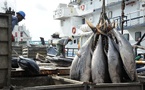 800 000 tonnes de poissons importés en Côte d'Ivoire en 2024