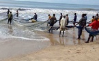 Pêche ivoirienne : la Côte d'Ivoire lance son projet économie bleue avec FAO