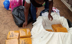 Trafic de drogue : Saisie de cannabis dans un car de transport à Yamoussoukro
