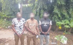Arrestation du cerveau présumé de l'orpaillage clandestin d'Alepé, Côte d'Ivoire