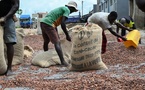 Le nouveau prix du cacao en Côte d'Ivoire fixé à 2800 FCFA et le café à 1700 pour la campagne 2025-2026 Le nouveau prix du cacao en Côte d'Ivoire fixé à 2800 FCFA et le café à 1700 pour la campagne 2025-2026