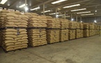 Cacao ivoirien : le Conseil du Café-Cacao accélère l'achat des stocks